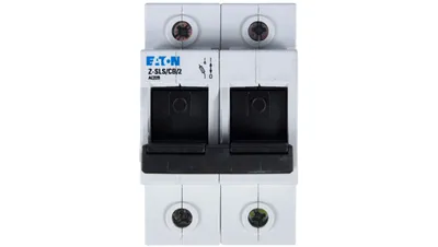 Imagen del producto de Interruptor automático 2P 63A D02 Z-SLS/CB/2 248248