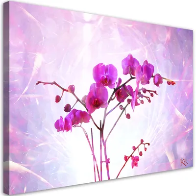 Produktbild von Leinwandbild Ätherische Orchidee 90x60 Feeby Violett bild für die wand bereit zum aufhängen