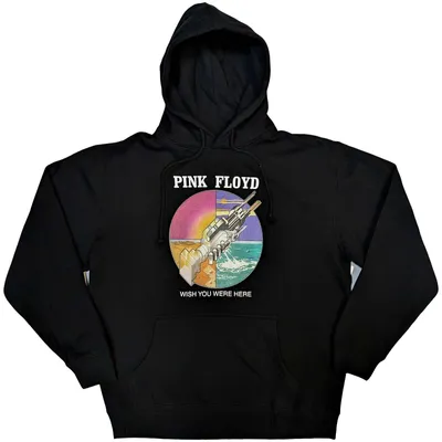 Obrázek produktu pro Pink Floyd - Mikina s kapucí "Wish You Were Here" pro muže/dámy Uni RO9761 (XL) (Black)