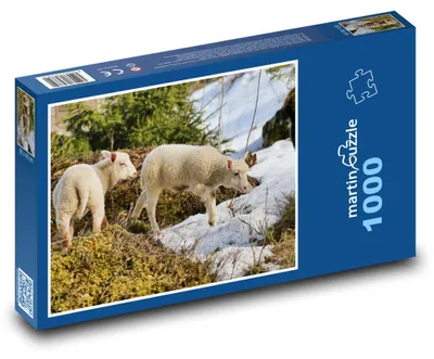 Produktbild von Puzzle 1000 Schafe und Lamm auf der Wiese - martinpuzzle