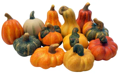 Zierkürbisse aus Terrakotta, Herbstdeko, Set mit 12 Stück