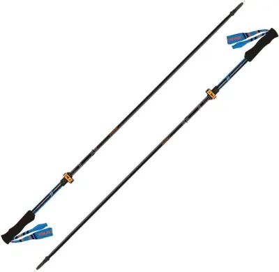 Two trekking poles are displayed diagonally against a white background.