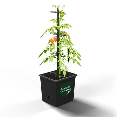 Produktbild von Nachhaltiger Tomatentopf Tomaten Anzuchtset Saatgut & Erde - Rankhilfe