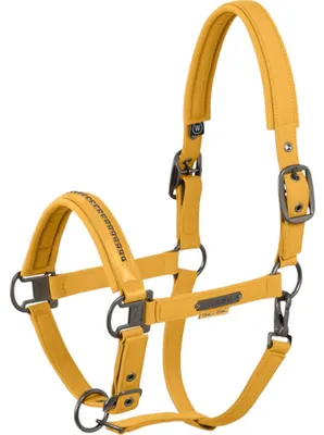 Produktbild von Eskadron Halfter Softshell Pearls Double Pin golden yellow Platinum 2025, Größe:P1