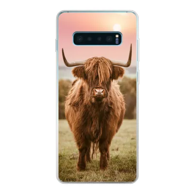 Produktbild von MuchoWow® Handyhülle Schutzhülle Hülle für Samsung Galaxy S10 Plus Schottischer Highlander - Sonne - Himmel Silikon Softcase Handy Hülle - Schutzhülle
