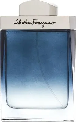 Immagine prodotto di Salvatore Ferragamo Subtil pour Homme EDT 100 ml M