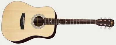 Image de Guitare acoustique Aria 215N