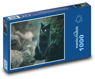 Zdjęcie produktu dla Puzzle 1000 Czarny Kot w Naturze - martinpuzzle