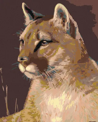 Produktbild von Zuty - Malen nach Zahlen - PUMA, 40x50 cm, mit Keilrahmen (bereits gespannt)