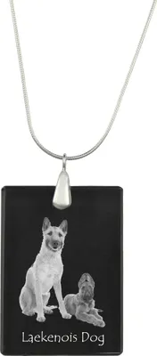 Image de Berger belge de Laekenois - Pendentif en cristal avec chien, collier en argent avec photo, pendentif personnalisé de la marque Art-Dog