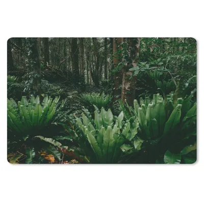 Produktbild von MuchoWow® Schreibtischunterlage Japanischer Dschungel 60x40 cm - XXL Mauspad - Großes Mauspad