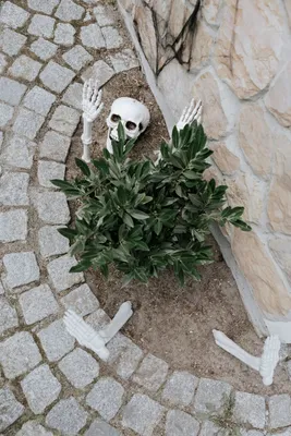 Produktbild von PartyDeco Skeleton, Dekoration, Polypropylen (PP), Weiß, Halloween
