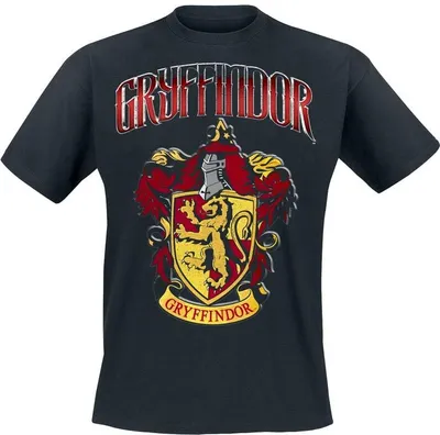 Produktbild von Harry Potter T-Shirt Herren Gryffindor schwarz 4XL