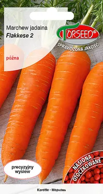 Zdjęcie produktu dla Nasiona Marchew jad. Flakkese 2 OTOCZKA 300szt - Torseed