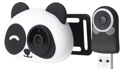 Image de Adaptateur caméra sans fil CarPlay 4smarts Panda, noir