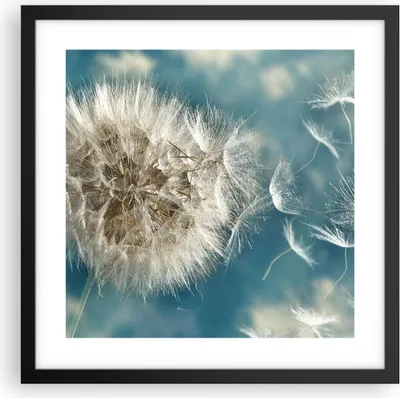 Produktbild von Gerahmtes Poster - Schwarzer Rahmen - Baby Sommer Pflanze - 40x40 cm - Wand Bild - Wanddeko - Wandbilder - Kunstposter - Wandposter - Bilderrahmen - Bilder - Kunstdruck - Wandbild - P2BAC40x40-3567