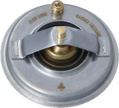 Imagen del producto de TERMOSTATO VW 80°C, compatible con modelos GOLF/JETTA IV 1.4 TSI/2.5, desde 2009