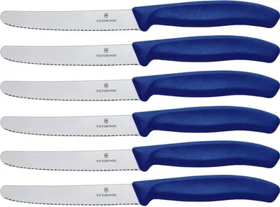 Produktbild von 6 VICTORINOX Gemüsemesser silber, blau glänzend, poliert, Klinge: 10,0 cm