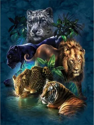 Produktbild von 5D Diamond Painting Full Kit, DIY Diamant Malerei nach Zahlen Kits für Erwachsene Full Drill Strass Kristall Stickerei Bilder Kreuzstich für Home Wall Decor Geschenk 30 x 40 cm ,Beast