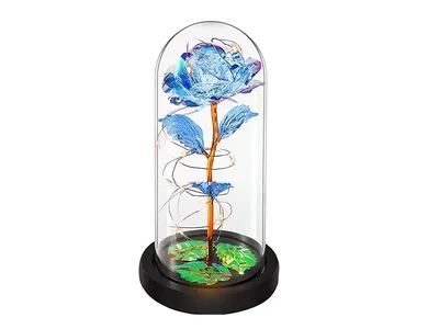Immagine prodotto di Verk 26108 Rosa LED in vaso di vetro blu