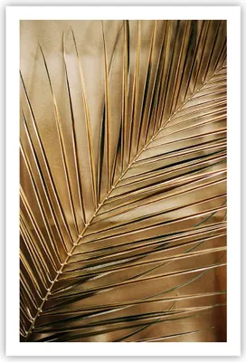 Produktbild von Poster - Poster ohne Rahmen - Blatt Gold Pflanze - 61x91,5 cm - Wand Bild - Wanddeko - Wandbilder - Kunstposter - Wandposter - Bilder - Kunstdruck - Wanddekoration - Wandbild - P2XPA61x91-5041
