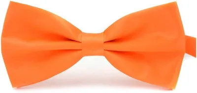 Immagine prodotto di Fascia arancione - Nastro arancione - Papillon - Nastro - Festa a tema - Campionato europeo - Campionato mondiale - Arancione (colore) - Arancione (colore) - Nastro arancione - Papillon - Papillon - Nastro elegante