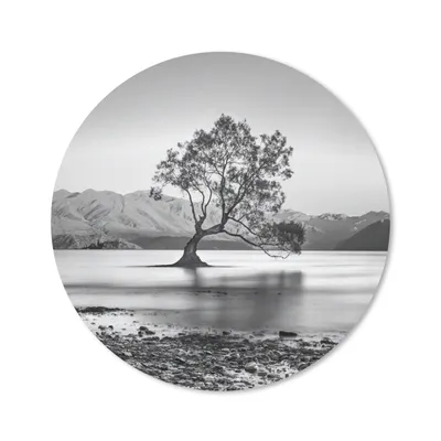Produktbild von MuchoWow® Mauspad Mousepad Neuseeland - Baum - Schwarz - Weiß 20x20 cm - Mousepads - Maus Mat - Pad - Mausunterlage - Schreibtischmatte