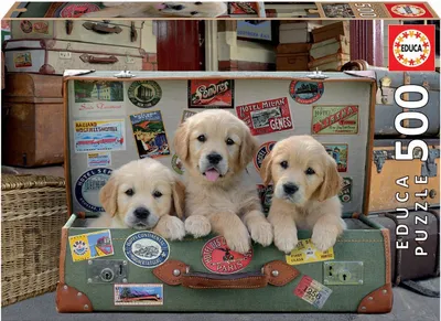 Produktbild von Educa - Hunde im Koffer 500 Teile Puzzle
