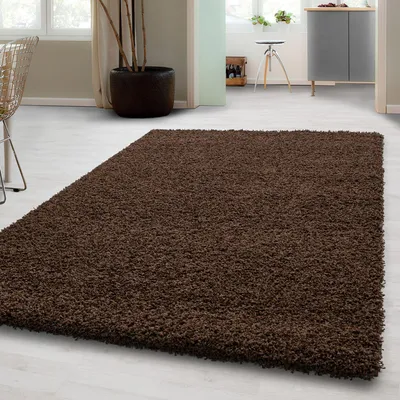 A brown shaggy rug is placed on a light-colored floor in a room with furniture and a plant.