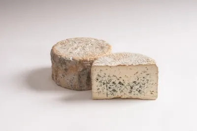 Produktbild von Edelpilz Edelschimmel Ennstalmilch Form ca. 2,5 kg.