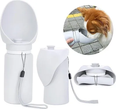 Produktbild von Famanu Faltbare Hundewasserflasche 550 ml - Tragbare, auslaufsichere Silikon-Wasserdispenser