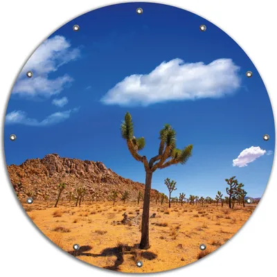 Produktbild von Wallario rundes Outdoor-Poster für Garten oder Balkon, Motiv Palmlilie im Nationalpark Yucca Valley  Wüstenlandschaft, 90 cm Durchmesser