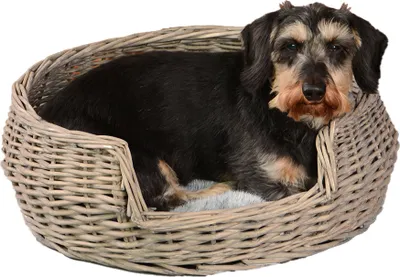 Produktbild von UNUS Hundekorb Katzenkorb Haustierkorb aus Weide grau mit Kissen Ø55 cm