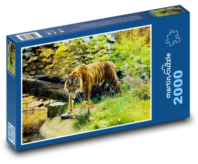 Produktbild von Puzzle 2000 Tiger in der Wildnis - martinpuzzle