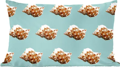 Produktbild von MuchoWow® Zierkissen Sofakissen Wohnzimmer Dekokissen 50x30 cm Muscheln - Muster - Grün - Wohnzimmerdekoration - Polster mit Photo