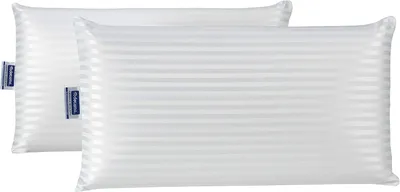 Image de Coussin viscoélastique, anti-acariens et antibactérien, lot de 2, pour