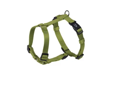 Produktbild von Nobby Classic, Hund, Zugfreier Gurt, XS-S, Grün, Nylon, Einfarbig