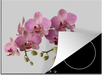Produktbild von KitchenYeah© Herdabdeckplatte Orchideen auf grauem Hintergrund , 59x52cm, Küche Deko, Glaskeramikkochfeld Herdabdeckung, Abdeckplatte fùr Kochfeld