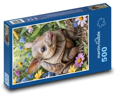 Obrázok produktu pre Puzzle 500 Pásavec medzi kvetmi - martinpuzzle