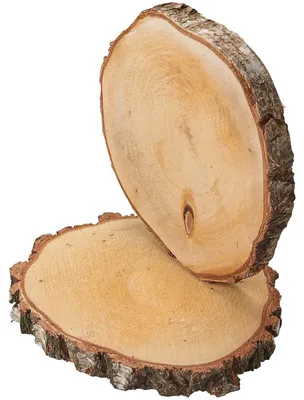Image de Rondelles d'arbre 2 pcs. Bois de décoration Disques en bois 33 - 37 cm