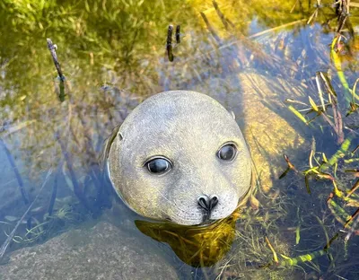 Productafbeelding van Vijverfiguur Zeehond - Tuin Decoratie voor Mini Vijver