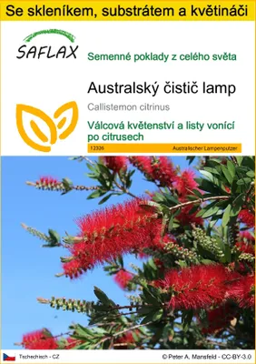 Obrázek produktu pro SAFLAX Kultivační sada - Australský čistič lamp - Callistemon citrinus - 400 Semena - S mini skleníkem, pěstebním substrátem a 2 květináči