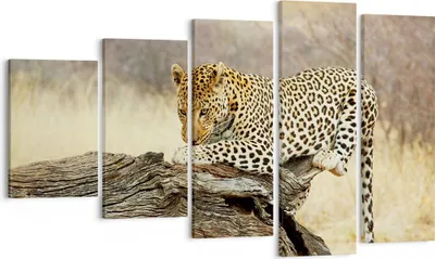 Produktbild von Bild auf Leinwand - Leinwandbild - Afrika Leopard Katze Safari - 100x60cm - Wand Bild - Wanddeko - Leinwanddruck - Bilder - Kunstdruck - Wanddekoration - Leinwand bilder - Wandkunst - EG100x60-2599