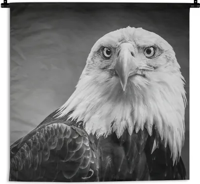 Produktbild von MuchoWow® Wandteppich Wandbehang Adler - Raubvogel - Schwarz - Weiß - Tiere 90x90 cm Tapisserie Dekoration Wandtuch - Wandaufhänger