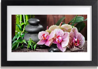 Produktbild von Bild 30x20 MDF-Rahmen Wandkunst Bamboo Orchid Spa