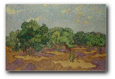 Produktbild von Kunstdruck „Olivenbäume“ von Vincent van Gogh – 60 x 90 cm – ungerahmt
