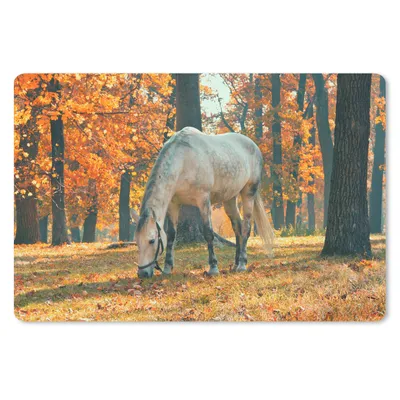 Produktbild von MuchoWow® Schreibtischunterlage Pferd - Herbst - Wald 60x40 cm - XXL Mauspad - Großes Mauspad