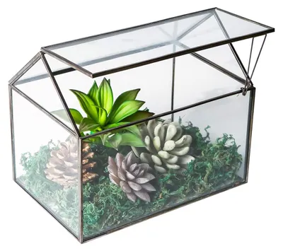 Productafbeelding van Geometrisch glazen terrarium voor vetplanten met scharnierend deksel