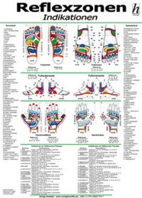 Produktbild von Reflexzonen-Therapie Poster - Indikationen DIN A2