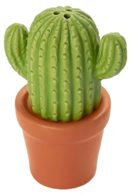 Productafbeelding van Zout- en peperstrooier set in de vorm van een cactus